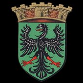 https://malebrume.bandcamp.com/