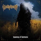 Anatomy of Darkness