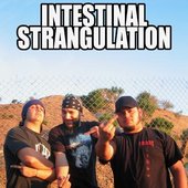 Intestinal Strangulation (USA)