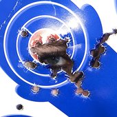 went 2 tha range