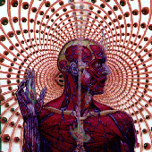 Avatar for impulcv