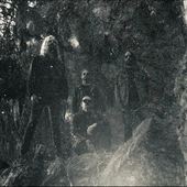 Eyes of the oak