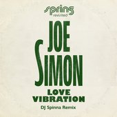 Love Vibration (DJ Spinna Remix)