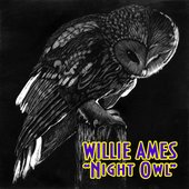 Night Owl