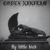 fly little bird