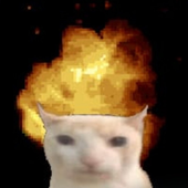 Avatar for murd3rd0lls