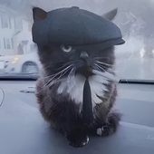 oskoitz 的头像