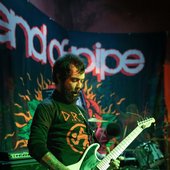 Northon Amaral, Guitarrista da Punkzilla!