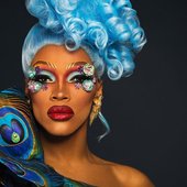 The Vixen 