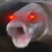 Memus' Profile Image.