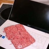 meatcomputer.jpg