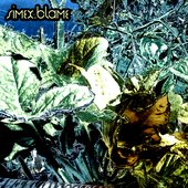 Blame