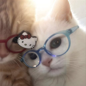Avatar for bubblybubu