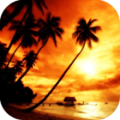 Avatar for Adam_Wayne