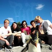 penguins-hunt-in-packs-20170813103205.jpg