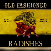 LastFM profile picture for @Radishes