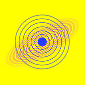 Araxeris 的头像