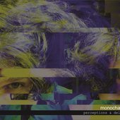 Perceptions & Delusions cover