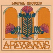 Liminal Choices