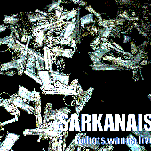 Robots Wanna Live