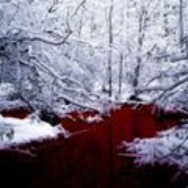 Awatar dla Blut_Bool