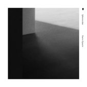 Spheniscidae - Nuevo Espacio