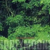 This Coherent Excitation