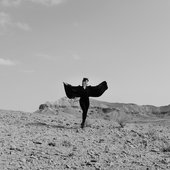 Tangled Love - Single