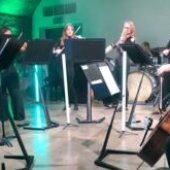 Orchestra of the Swan
