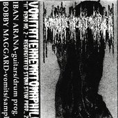II Demo No. 2