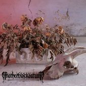 Resplendent Apparitions at the Dawn