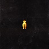 LeMarquis - EP