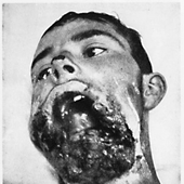 Avatar for humanpulp