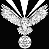 White Owl - Single