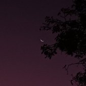 breves momentos de beleza
