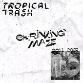 Shrinking Maze: 2011-2020