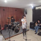 magnólia em ensaio