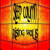 Rising Walls