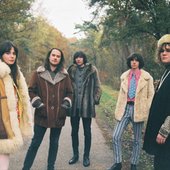 The Colour Collection