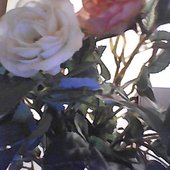 WIN_20250706_16_56_24_Pro.jpg