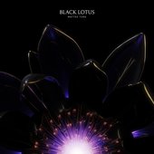 Black Lotus