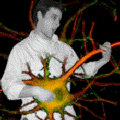 bassganglia 的头像