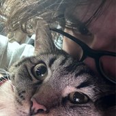 IMG_6246.jpeg
