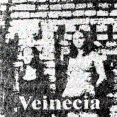 veinecia