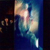 Dora Maar (Aus)