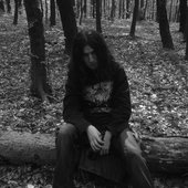 Hastner in the wood