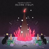 Saloane SCRUM