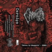 "Eaten by Maggots" - DEMO