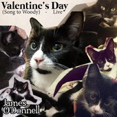 Valentine's Day (Song to Woody) - Single