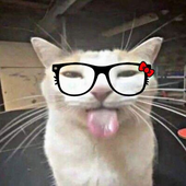 tantuninar 的头像